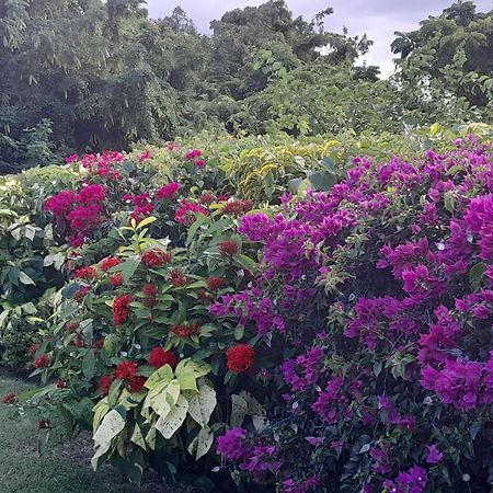 Spectacular Ocean View Retreat Apartamento Saint James Exterior foto