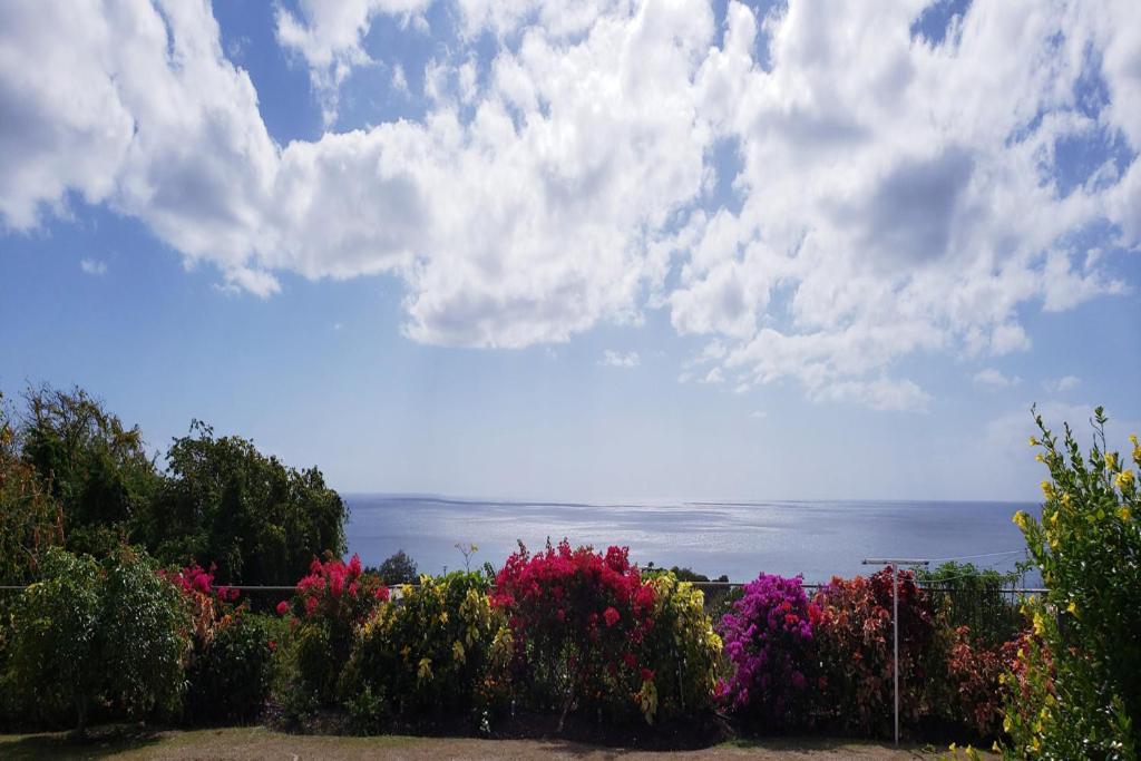 Spectacular Ocean View Retreat Apartamento Saint James Exterior foto