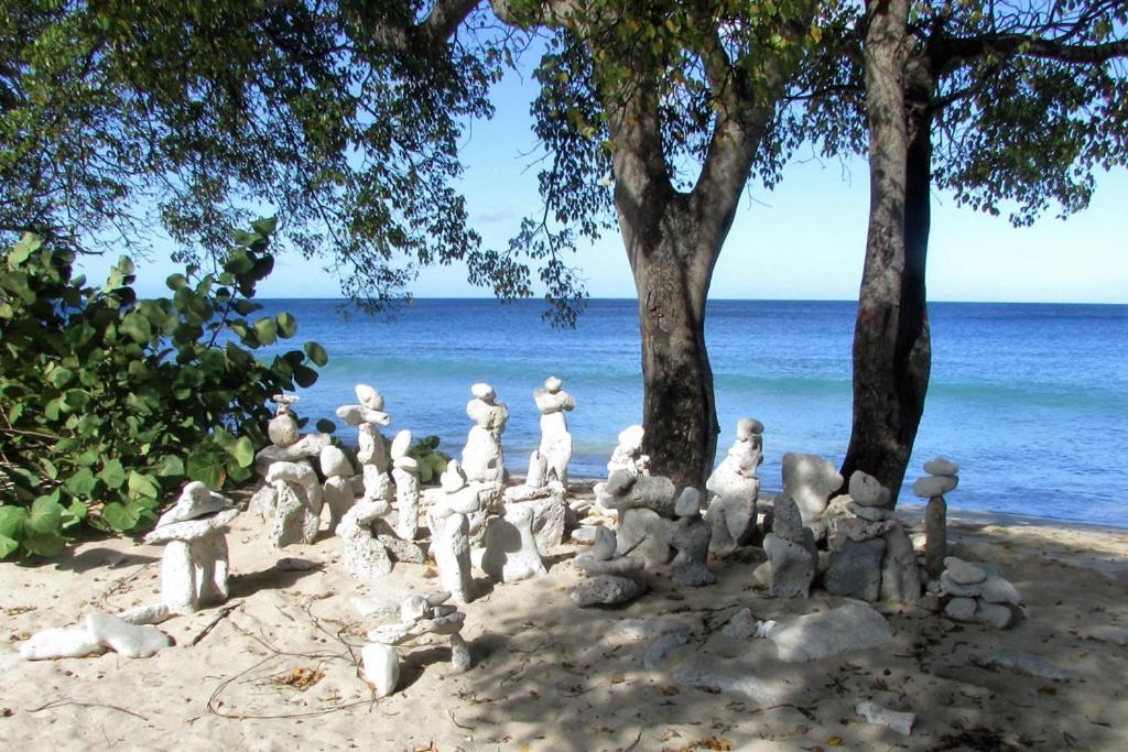 Spectacular Ocean View Retreat Apartamento Saint James Exterior foto