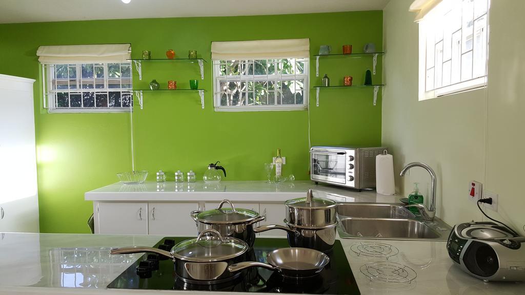 Spectacular Ocean View Retreat Apartamento Saint James Exterior foto