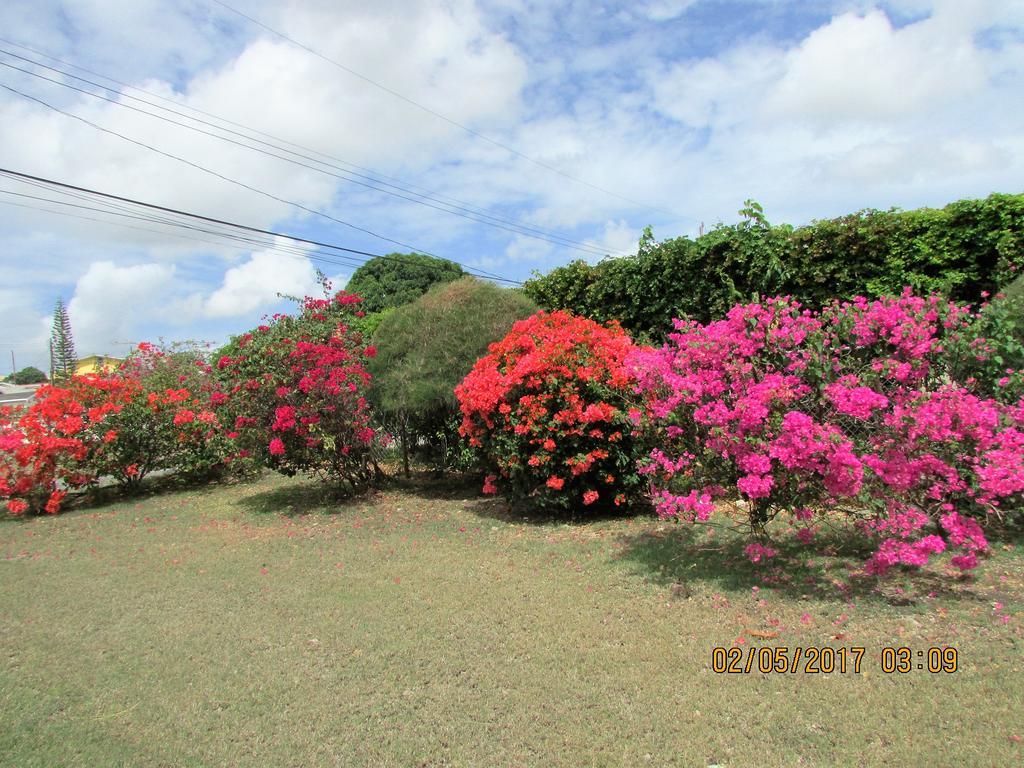 Spectacular Ocean View Retreat Apartamento Saint James Exterior foto